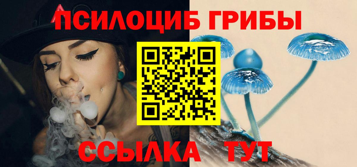 Псилоцибиновые грибы прущие грибы  что такое наркотик  Туймазы 